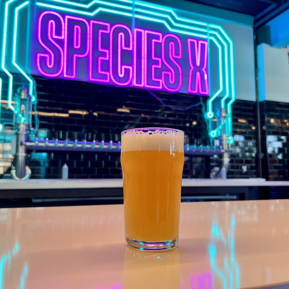 species-x-beer-8