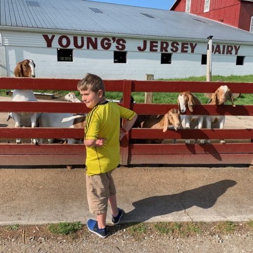 youngs jersey dairy yellow springs - 4